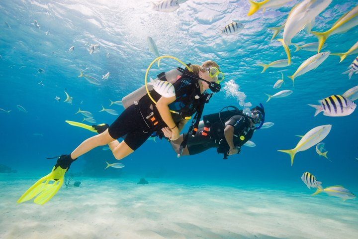 Try Scuba Diving in Key Largo — Small Group, Max 4 Students - Photo 1 of 12